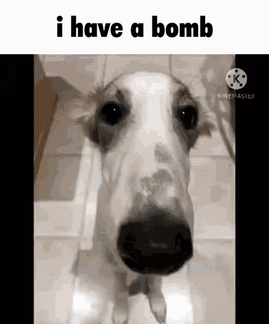 Fnp4AKC.gif