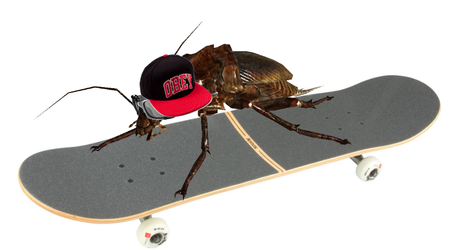 radroach.png.8b6807ee73cb56cc20e1c727e7268c77.png