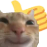mfm6Kgf.png