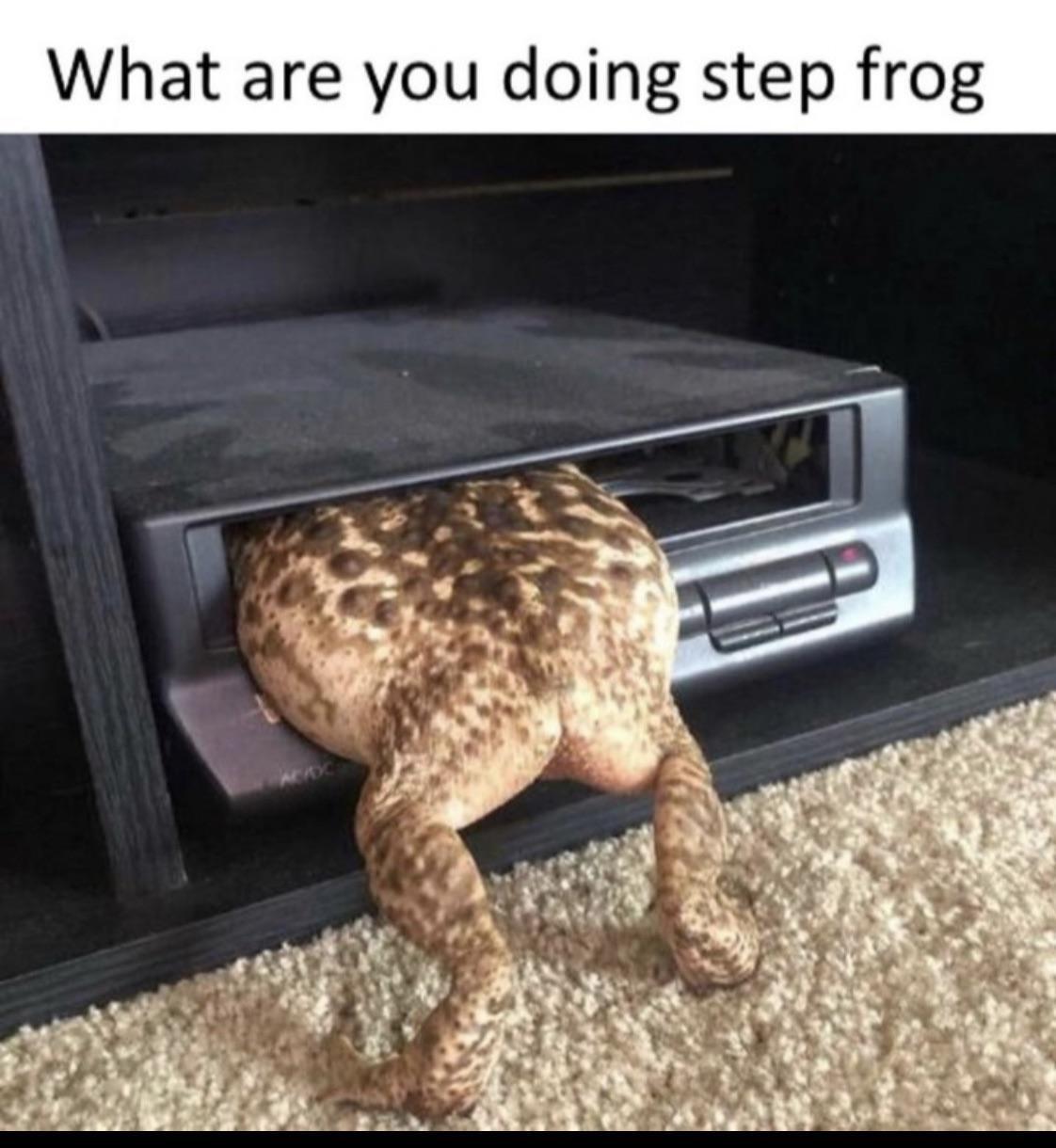 8o1fQ7o.jpeg